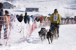 Lenk 2013